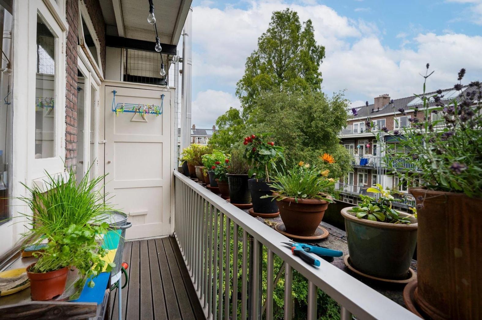Apartment Sandra Amsterdam Eksteriør billede